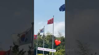 Kore’de Dalgalanan o TÜRK Bayrağı! 