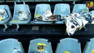 BORUSSIA DORTMUND INTERNATIONAL - Tottenham Hotspur CHOREO