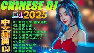 2025 年最热门的 DJ 混音，您不会相信！【拥抱你离去  情火 公蝦米  怎麼愛都愛不夠 ...】2025年最劲爆的DJ歌曲  2025夜店舞曲 重低音 - Chinese Dj