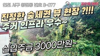 번호3-077)숲세권 뷰 가격 착한 갓성비 현장?!!! 검단사거리역 도보 5분 역세권 주거 상업 인프라 우수 3억대 펜트리 인천서구 왕길동 신축빌라매매