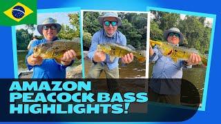 Unbelievable Amazon Adventure Peacock Bass Fishing in Brazil