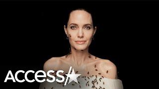 Angelina Jolie Covered In Bees: It ‘Felt Lovely’