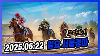 2025년 6월 22일 일요 서울경마 전체경주 모아보기