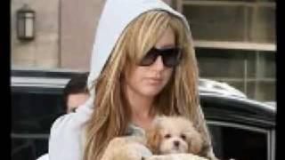 Ashley Tisdale Icon