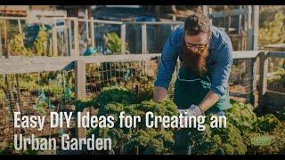 Easy DIY Ideas for Creating an Urban Garden