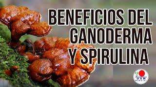 BENEFICIOS DEL GANODERMA Y SPIRULINA DXN - DR JOSÉ LUIS SALCEDO SÁNCHEZ