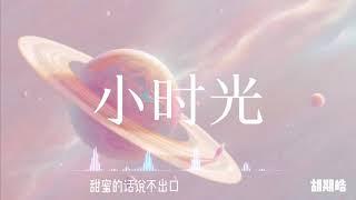 抖音神曲「小时光」by 胡期皓「就随着暖暖的风慢慢的走 牵着你的手 甜蜜的话说不出口」中文流行歌曲 动态歌词 完整版