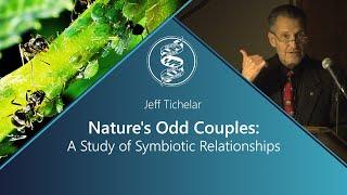 Jeff Tichelar - Nature's Odd Couples: A Study of Symbiotic Relationships