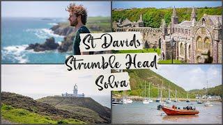 The Best of the Pembrokeshire Coast | Britain's Smallest City & More!