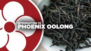 What is PHOENIX OOLONG? (a.k.a. Dancong)