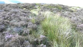 Wet Withens stone circle [part II]