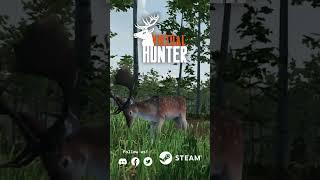 Virtual Hunter | Deer Species Animations Rework Trailer #shorts