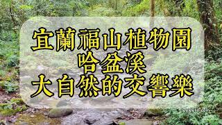 哈盆溪、大自然的交響樂｜宜蘭福山植物園