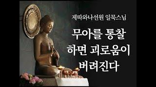 무아를 통찰하면 괴로움이 버려진다ㅣ일묵스님ㅣ2019. 12. 18. 초기불교 제따와나선원 정기법회