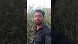 MD Shahid reels channel ️