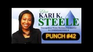 KARI STEELE for Commissioner of Metro Water Reclamation District of Greater Chicago