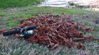 Bass Love Crawfish!! (feat. Scott Martin)