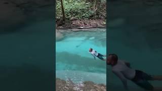 The cleanest natural swim ever#shorts #shortsvideo #dominicanrepublicvacation #swimming #Dominica