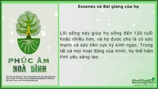 Phúc Âm Hòa Bình | Edmond Bordeaux Szekely | Dịch giả Bùi Trần Trung