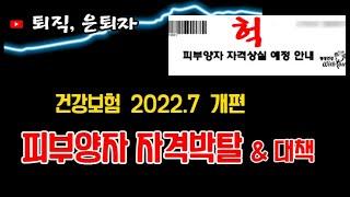건보료 피부양자 자격 박탈되고, 지역가입자로? 개편의 큰 파도가 몰려옵니다.(상실요건 개편과 대책)