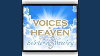 Voices Of Heaven (feat. Anonymous Dj)