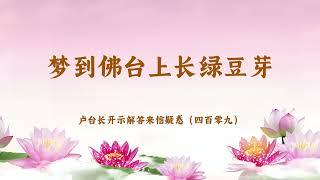 【梦到佛台上长绿豆芽】卢台长开示解答来信疑惑（四百零九）| 观世音菩萨心灵法门