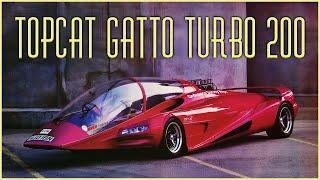 Topcat Gatto Turbo 200: Fighter Jet Looks, Jaguar Heart