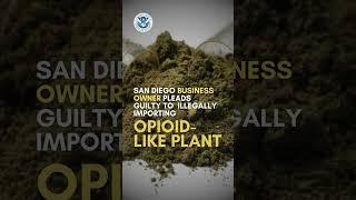 NEWS NOW | NYC man charged in crypto attack, opioid like plant case & big drug trafficking upset