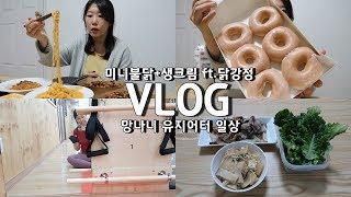 먹방 브이로그 VLOG 매일 치팅데이 느낌 직장인 다이어터 브이로그 일상 (미니 불닭 볶음면 생크림 가마로강정 닭강정 크리스피크림 도넛) 유지어터 식단 아오님