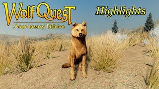 Wolf Quest AE - Highlights