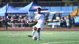 Highlights Vinicius Monteiro 2018