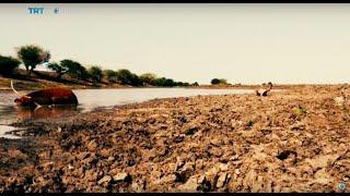 Insight: Global Water Shortage