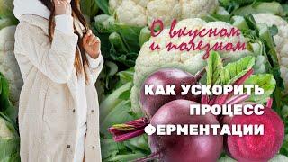 Как ускорить ферментацию овошей