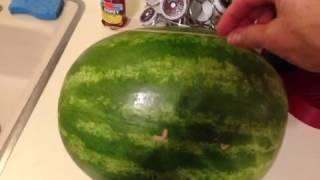 How to tell if a watermelon is ripe using a piece of straw! Rae Ann Pool