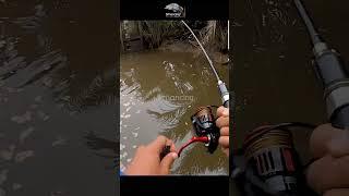 Kasar & Kuat Tarikannya di Spot Sempit #mancing #shorts