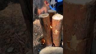 fire making techniques #bushcraft #camping #survival #outdoors #campfire #solocamping