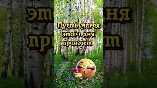 День летнего солнцестояния #доброеутро #красиваямузыка #видео