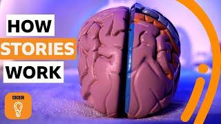 How stories shape our minds | The science of storytelling | BBC Ideas