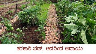 ZBNF - Subashpalekar's method of Vegetable Bed [ ತರಕಾರಿ ಬೆಡ್, ಅದರಿಂದ ಆದಾಯ ]