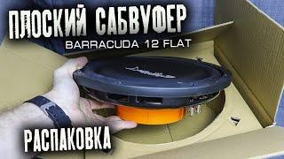 Плоский сабвуфер  в машину DL Audio Barracuda 12 Flat | Распаковка