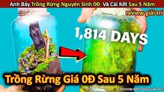 Chơi Lớn Trồng Rừng Nguyên Sinh Giá 0Đ Và Cái Kết Bất Ngờ Sau 5 Năm || Review Giải Trí Đời Sống