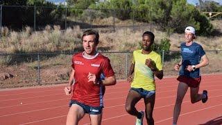 HOKA NAZ Elite All-Out 300