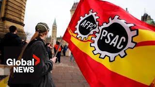 PSAC Strike: Immigration applications plunge into uncertainty