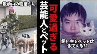 【有益2ch】可愛い動物で癒されよう！芸能人が飼っているペット達！【ガールズちゃんねる】