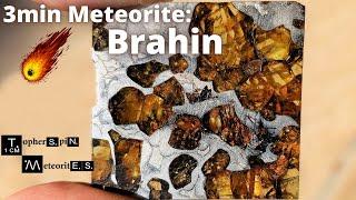 3min Meteorite: BRAHIN -Pallasite from Belarus 1810