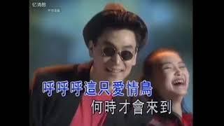 1994年 林依伦《爱情鸟》 经典MV  | 欢迎订阅【忆清醇・怀旧金曲】