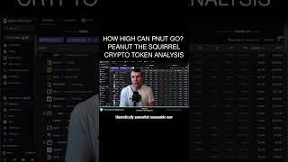 How High Can PNUT Go?  Peanut the Squirrel Crypto Token Analysis