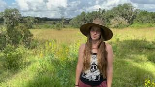 Pathways Permaculture Garden Tour | Terraced Food Forests | Berm and Swale Rain Water Catchment