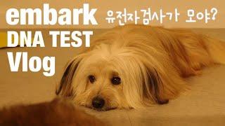 Vlog l 유전자검사가 모야? l embark DNA TEST l 강아지 DNA 검사 l 캐롤캐로리 149