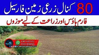 80 Kanal Agricultural Land For Sale in Chakwal Punjab Zari Raqba for sale